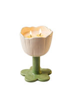 Tulipán