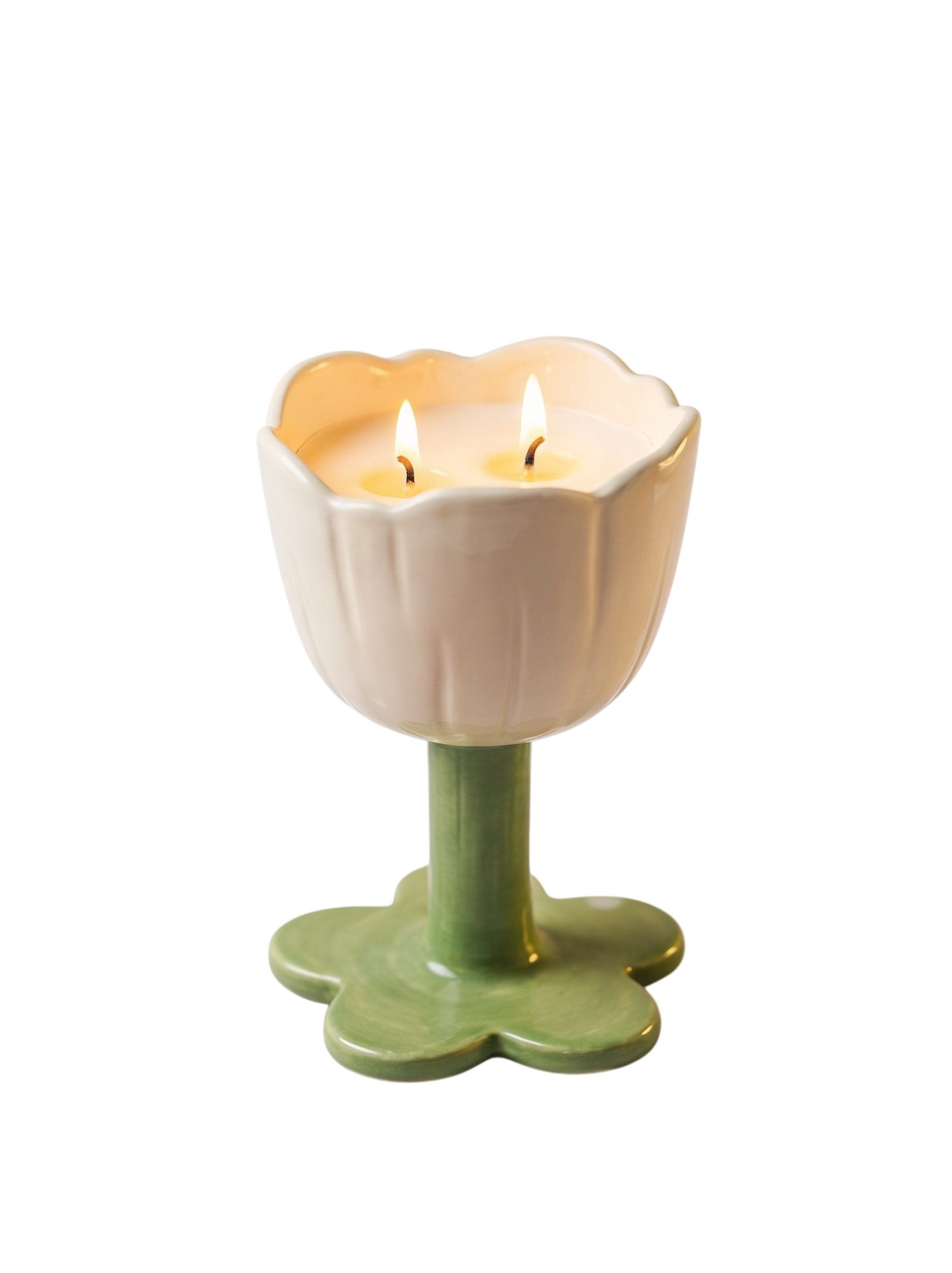 Tulipán